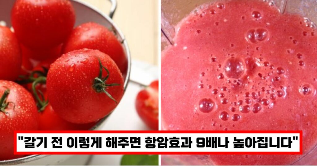 항암효과 높여주는 토마토 섭취방법