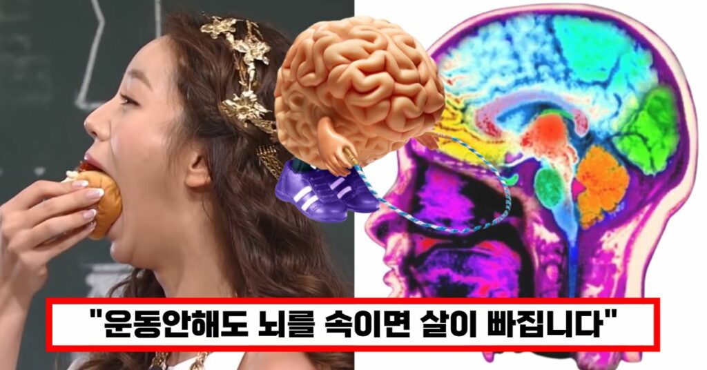 뇌를 속이는 장뇌상관