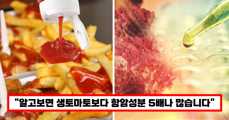 천연항암식품 케첩의 효능